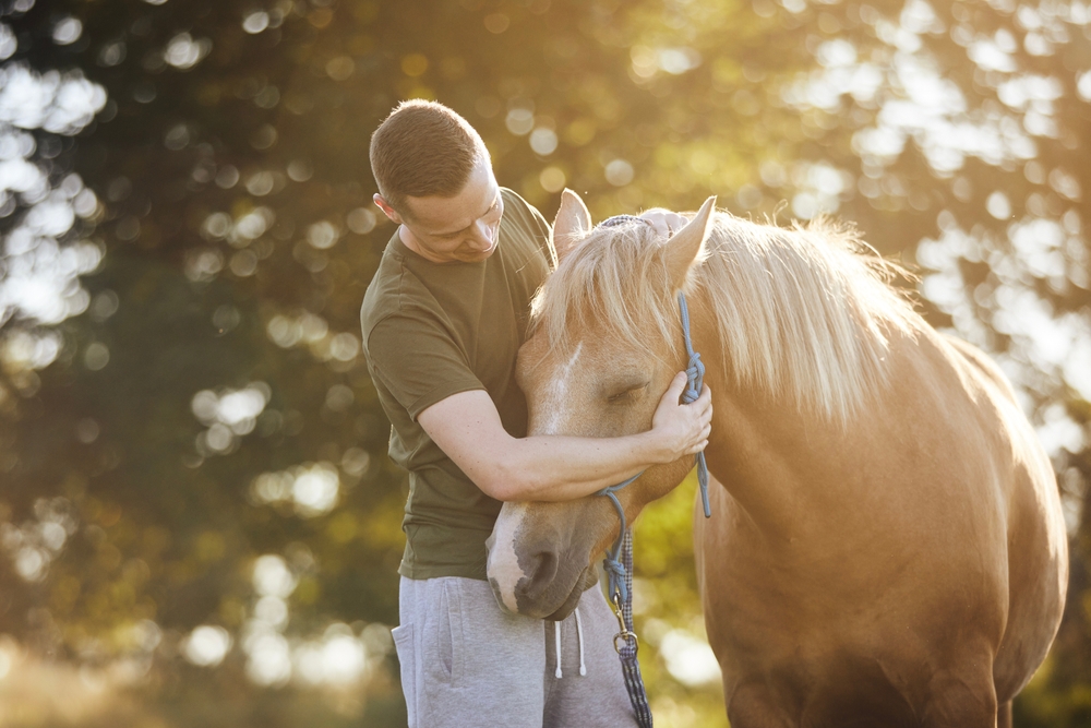 Conexión Equina: Entendiendo el Comportamiento y Bienestar del Caballo